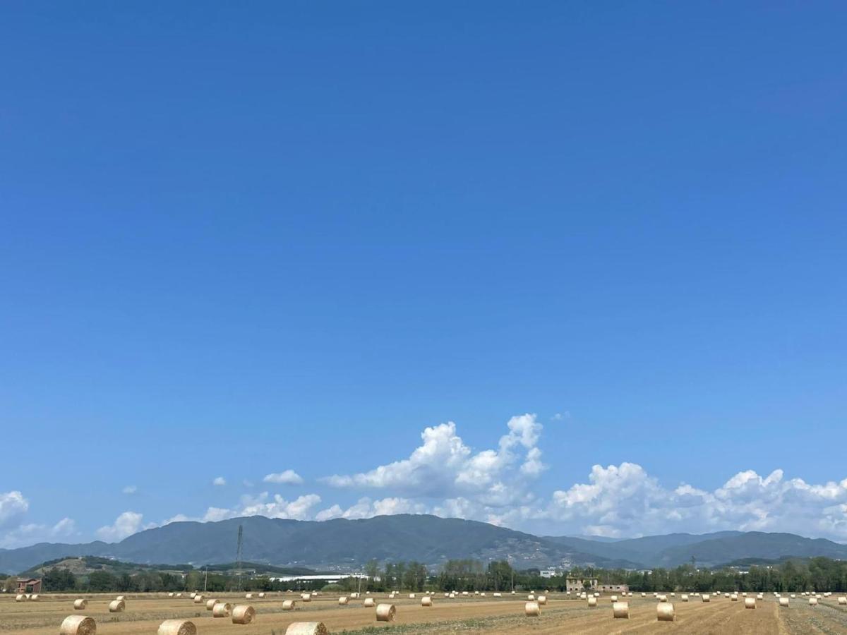 Holiday Rental- By The Walls N 395 Apartamento Lucca